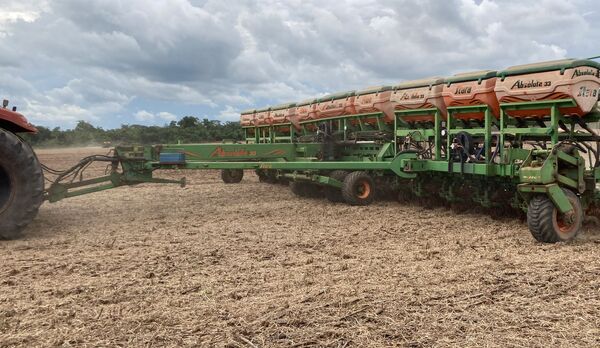 PLANTADEIRA ABSOLUTA 33x45