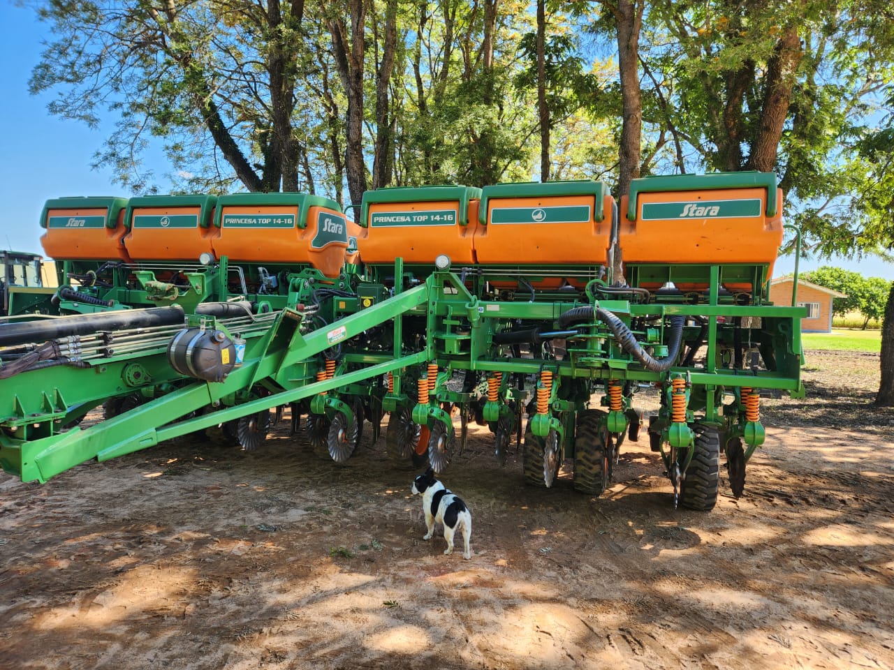 Plantadeira Princesa 14/16, ano 2020