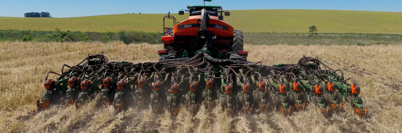 <p>PLANTIO STARA</p>