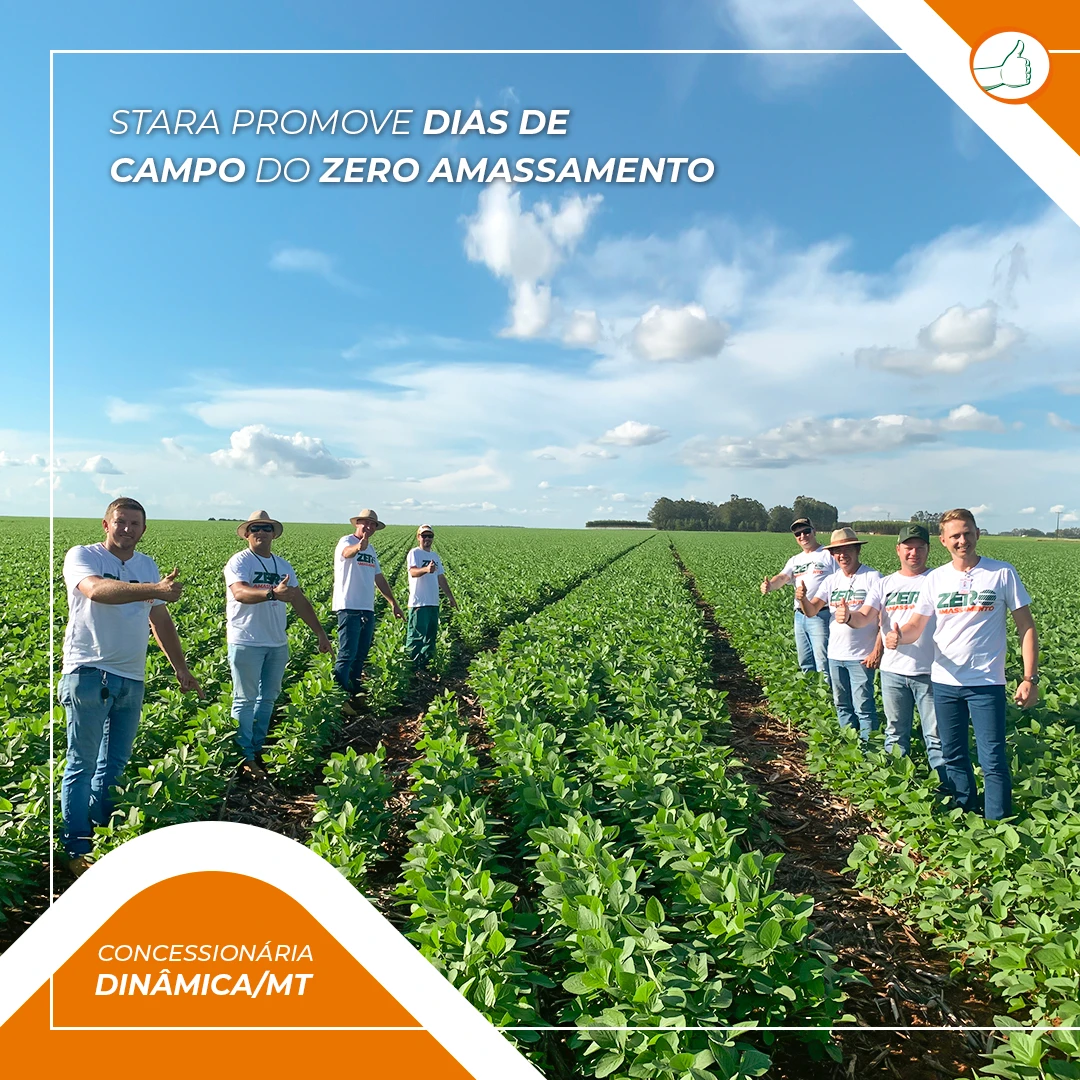 DIAS DE CAMPO 1