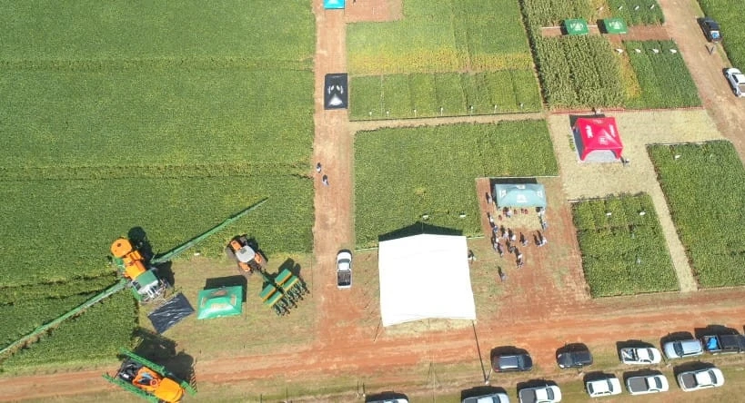 dia de campo (13)