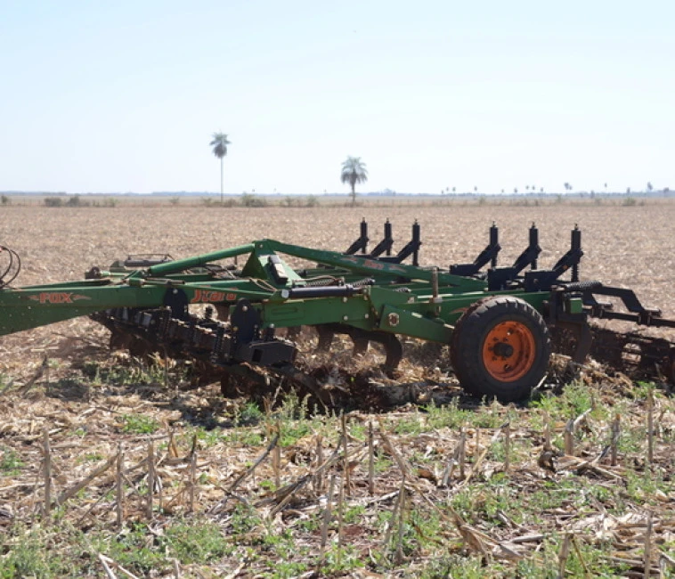 Do you know Fox cultivator?
