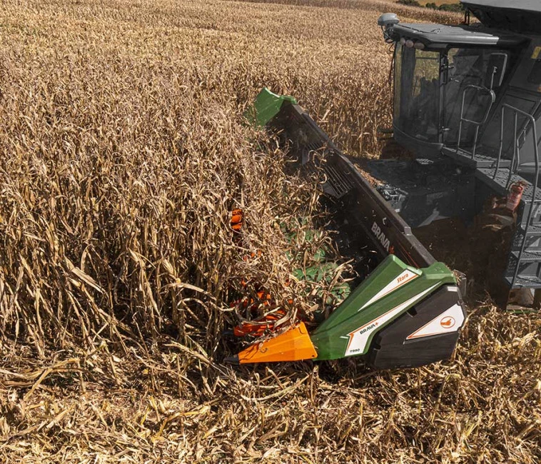 How does the Brava + corn avoid losses and at the same time ensure high yields