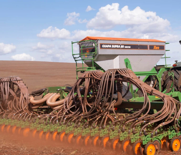 Cobertura de solo na agricultura regenerativa: espécies e manejo