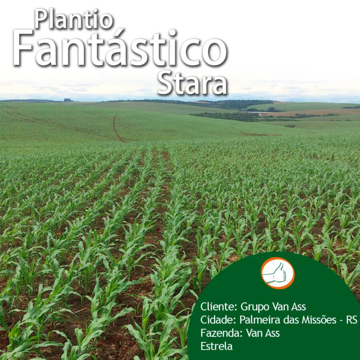 Plantio Fantástico Stara