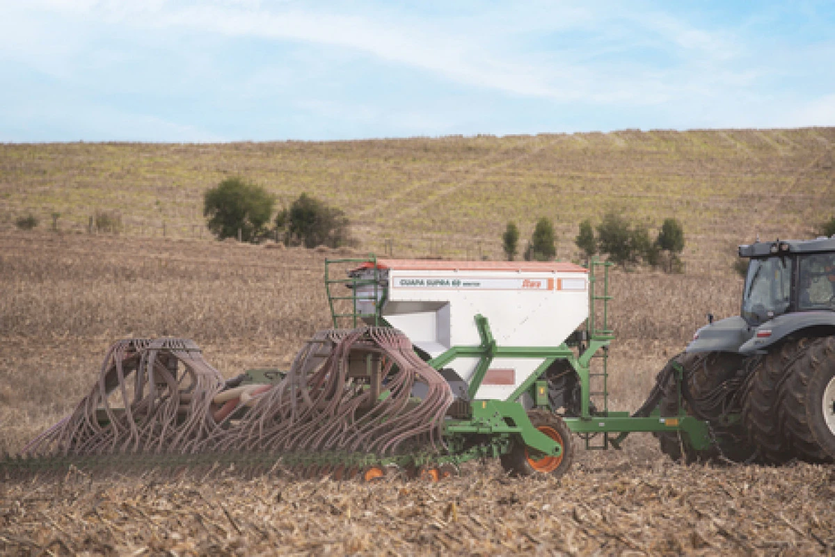 How to ensure winter grain sowing efficiency?