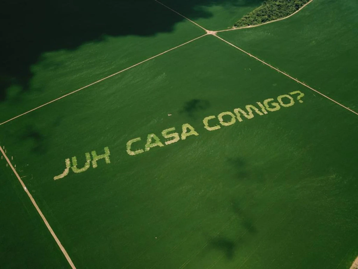 Have you ever imagined a proposal made by means of a planter?