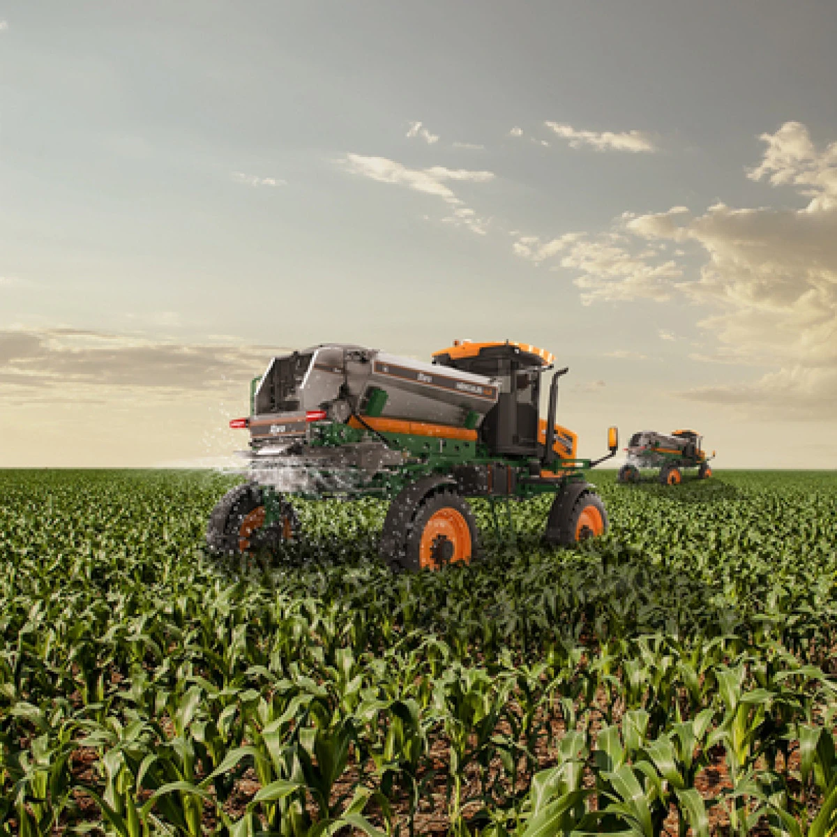 Why apply nitrogen to the corn crop?