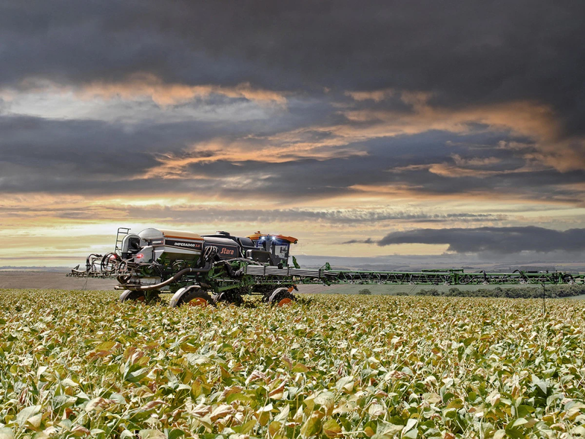 Do you know the ideal time for cover crop application in soybeans crop?