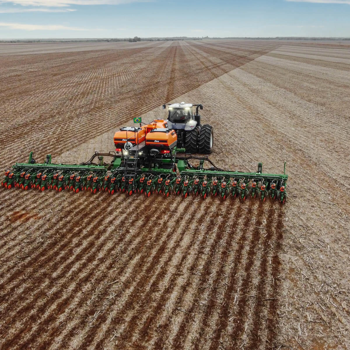 Janela de plantio do milho safrinha: como aumentar eficiência no campo