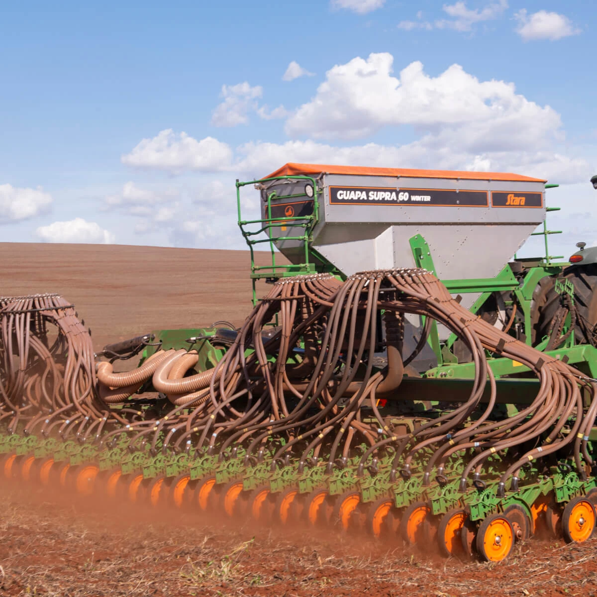 Cobertura de solo na agricultura regenerativa: espécies e manejo