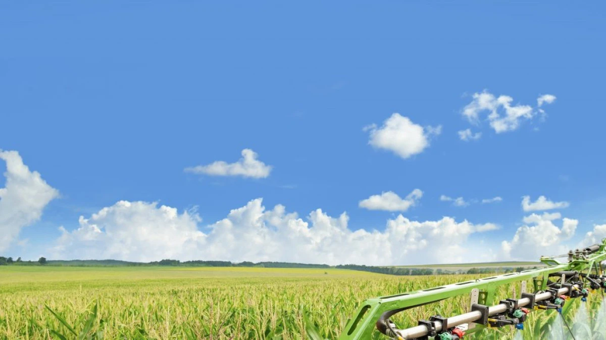 Do you know why late applications are important to corn crops?