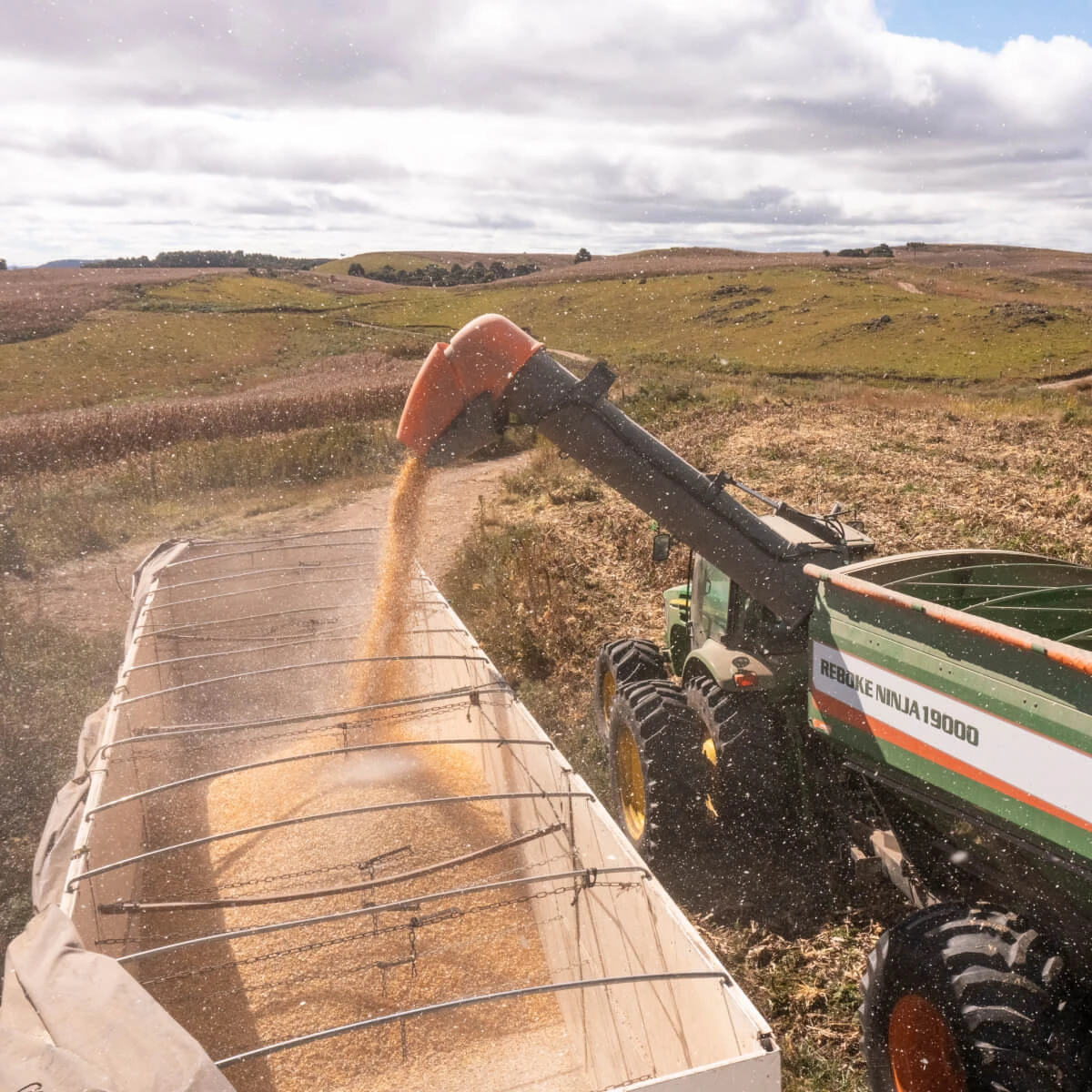 Transporte de grãos: como reduzir custos operacionais no campo?