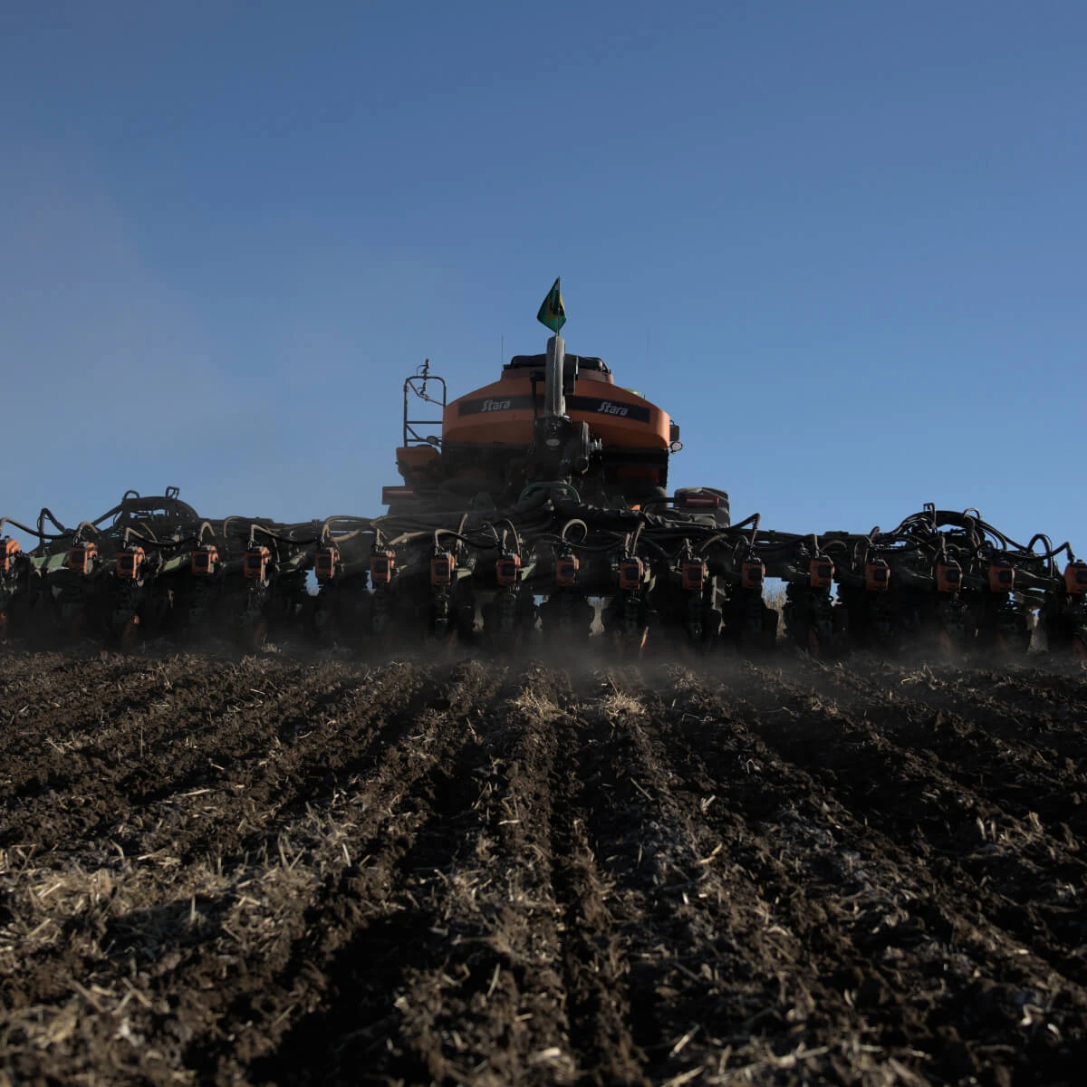 Saúde do solo: guia completo para entender e melhorar o solo agrícola