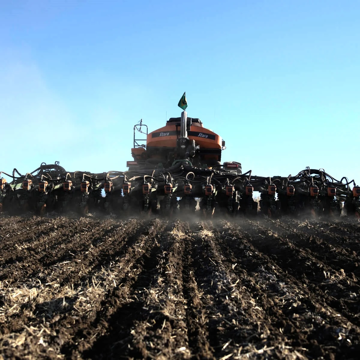 Saúde do solo: guia completo para entender e melhorar o solo agrícola