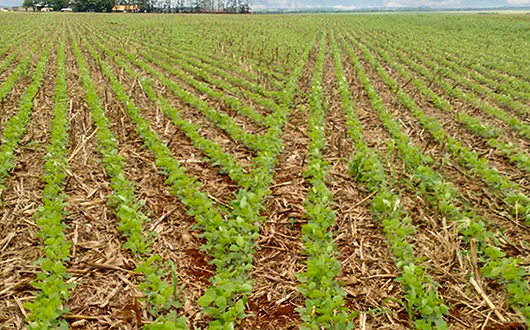 Desligamento Linha a Linha