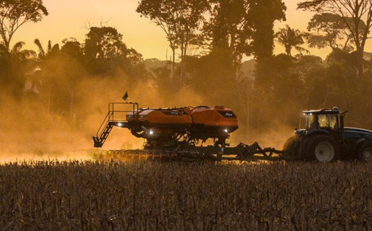 Zero manutenção durante o plantio